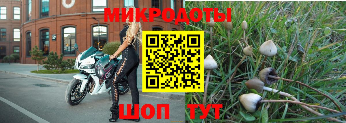 Псилоцибиновые грибы MAGIC MUSHROOMS Рязань