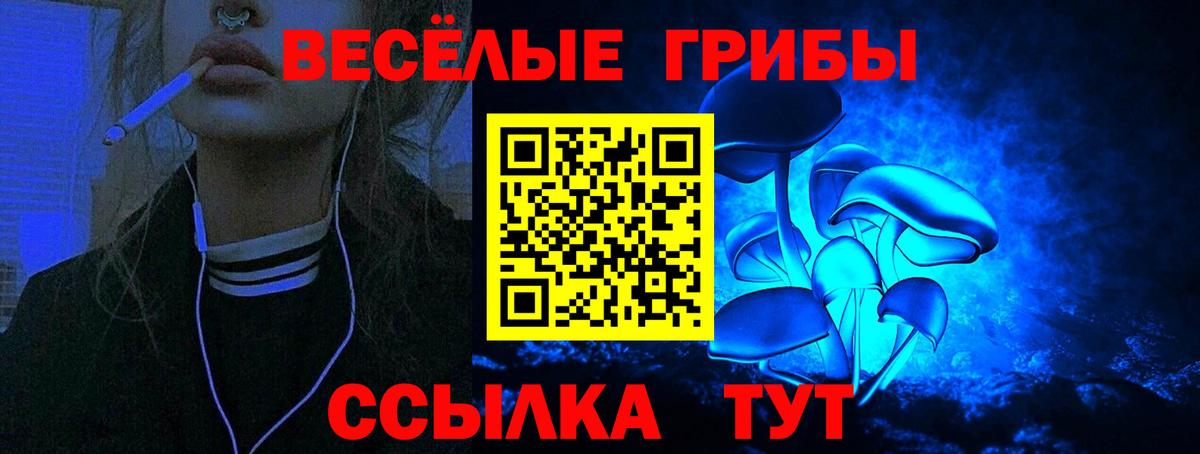 Рязань  Галлюциногенные грибы GOLDEN TEACHER  Вход с VPN 